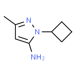 1-Cyclobutyl-3-methyl-1H-pyrazol-5-amine Structure