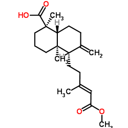 methyl 18-carboxylabda-8,13-diene-15-oate picture