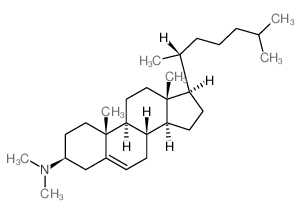 Cholest-5-en-3-amine,N,N-dimethyl-, (3b)-(9CI)结构式