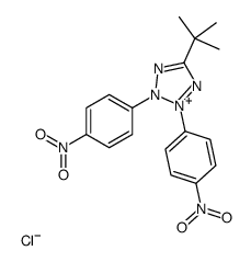 2,3-di-(4-nitrophenyl)-5-t-butyl-2H-tetrazolium结构式