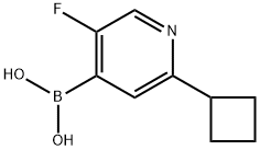5-Fluoro-2-(cyclobutyl)pyridine-4-boronic acid Structure