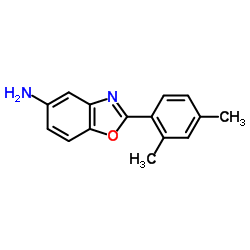 2-(2,4-DIMETHYL-PHENYL)-BENZOOXAZOL-5-YLAMINE结构式
