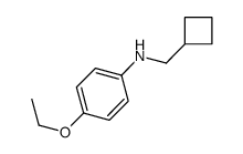 Benzenamine, N-(cyclobutylmethyl)-4-ethoxy- (9CI) structure