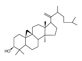 22-Methyl-9β,19-cyclo-5α-lanost-20-en-3β-ol picture