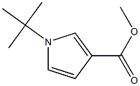 methyl 1-tert-butyl-1H-pyrrole-3-carboxylate Structure
