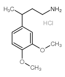 3-(3,4-Dimethoxyphenyl)butylamine hydrochloride结构式