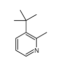 3-tert-butyl-2-methylpyridine结构式