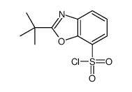 2-tert-butyl-1,3-benzoxazole-7-sulfonyl chloride结构式