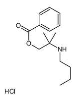 [2-(butylamino)-2-methylpropyl] benzoate,hydrochloride Structure