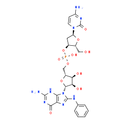 N-(deoxycytidylyl-(3'-5')-guanosin-8-yl)aniline结构式