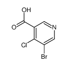 5-Bromo-4-chloronicotinic acid picture