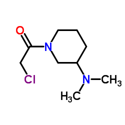 2-Chloro-1-[3-(dimethylamino)-1-piperidinyl]ethanone Structure