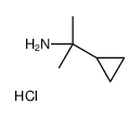 2-环丙基丙-2-胺盐酸盐图片