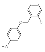 4-[(4-氯苄基)氧基]苯胺结构式