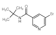 5-bromo-n-tert-butylnicotinamide structure