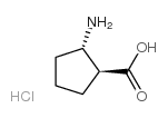 (1S,2S)-2-Aminocyclopentanecarboxylic acid hydrochloride picture