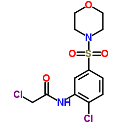 2-CHLORO-N-[2-CHLORO-5-(MORPHOLIN-4-YLSULFONYL)PHENYL]ACETAMIDE图片