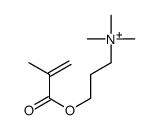 trimethyl-[3-(2-methylprop-2-enoyloxy)propyl]azanium结构式