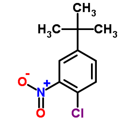 4-tert-Butyl-1-chloro-2-nitrobenzene picture