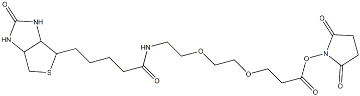 Biotin-PEG2-NHS ester picture