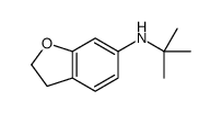 N-tert-butyl-2,3-dihydro-1-benzofuran-6-amine结构式