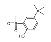 4-tert-butyl-2-methylsulfonylphenol结构式