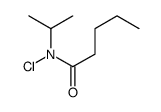 N-chloro-N-propan-2-ylpentanamide Structure