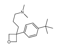 3-[3-(4-tert-butylphenyl)oxetan-3-yl]-N,N-dimethylpropan-1-amine结构式