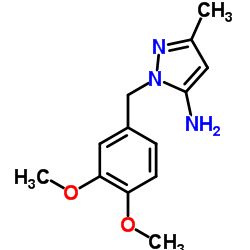 1-(3,4-Dimethoxybenzyl)-3-methyl-1H-pyrazol-5-amine结构式