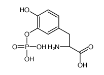 (2S)-2-amino-3-(4-hydroxy-3-phosphonooxyphenyl)propanoic acid结构式