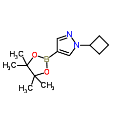1-Cyclobutyl-4-(4,4,5,5-tetramethyl-1,3,2-dioxaborolan-2-yl)-1H-pyrazole picture
