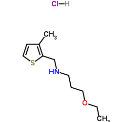 3-Ethoxy-N-[(3-methyl-2-thienyl)methyl]-1-propanamine hydrochloride (1:1) Structure