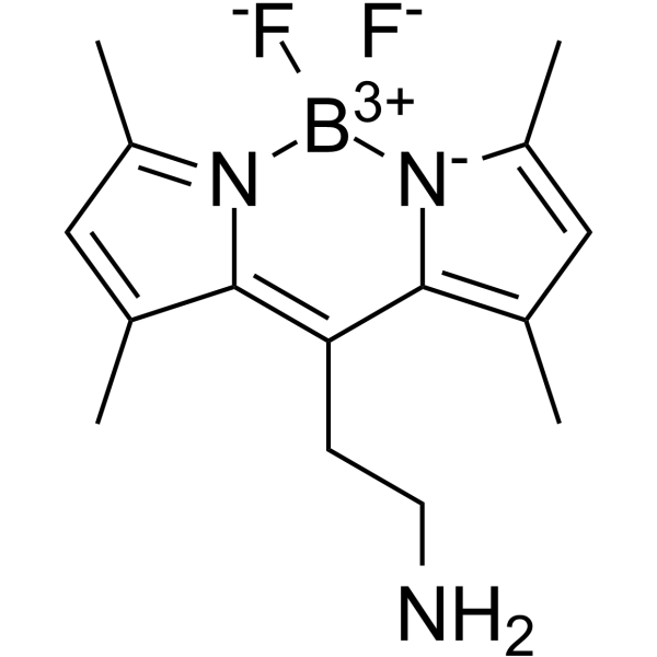 BODIPY FL Ethylamine Structure