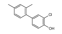 2-chloro-4-(2,4-dimethylphenyl)phenol Structure