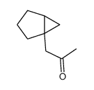 2-Propanone, 1-bicyclo[3.1.0]hex-1-yl- (9CI)结构式