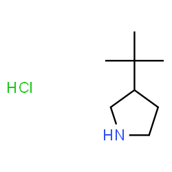 3-(tert-butyl)pyrrolidine hydrochloride structure