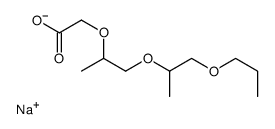 SODIUM PROPOXY PPG-2 ACETATE structure