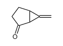 6-methylidenebicyclo[3.1.0]hexan-2-one结构式