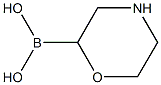 Morpholine-2-boronic acid Structure