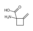 Cyclobutanecarboxylic acid, 1-amino-2-methylene- (9CI)结构式