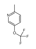 2-methyl-5-(trifluoromethoxy)pyridine picture