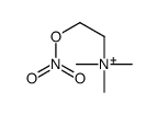 trimethyl(2-nitrooxyethyl)azanium结构式