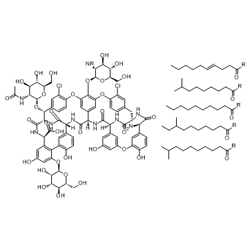 Teicoplanin picture