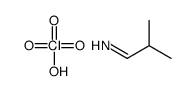 2-methylpropan-1-imine,perchloric acid Structure