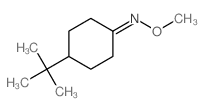 N-methoxy-4-tert-butyl-cyclohexan-1-imine picture