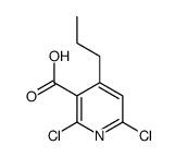 2,6-dichloro-4-propylpyridine-3-carboxylic acid Structure
