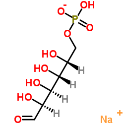 Sodium (2R,3R,4S,5S)-2,3,4,5-tetrahydroxy-6-oxohexyl hydrogenphosphate picture