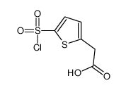 [5-(Chlorosulfonyl)-2-thienyl]acetic acid结构式