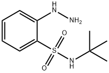 N-tert-butyl-2-hydrazinylbenzene-1-sulfonamide structure