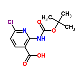 2-(tert-Butoxycarbonyl)-6-chloronicotinic acid Structure